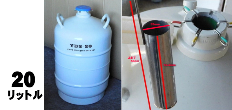 液体窒素タンク20L◆畜産牛の精液凍結保存用